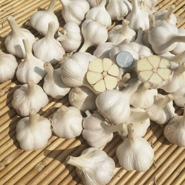 蒜;洋葱;姜