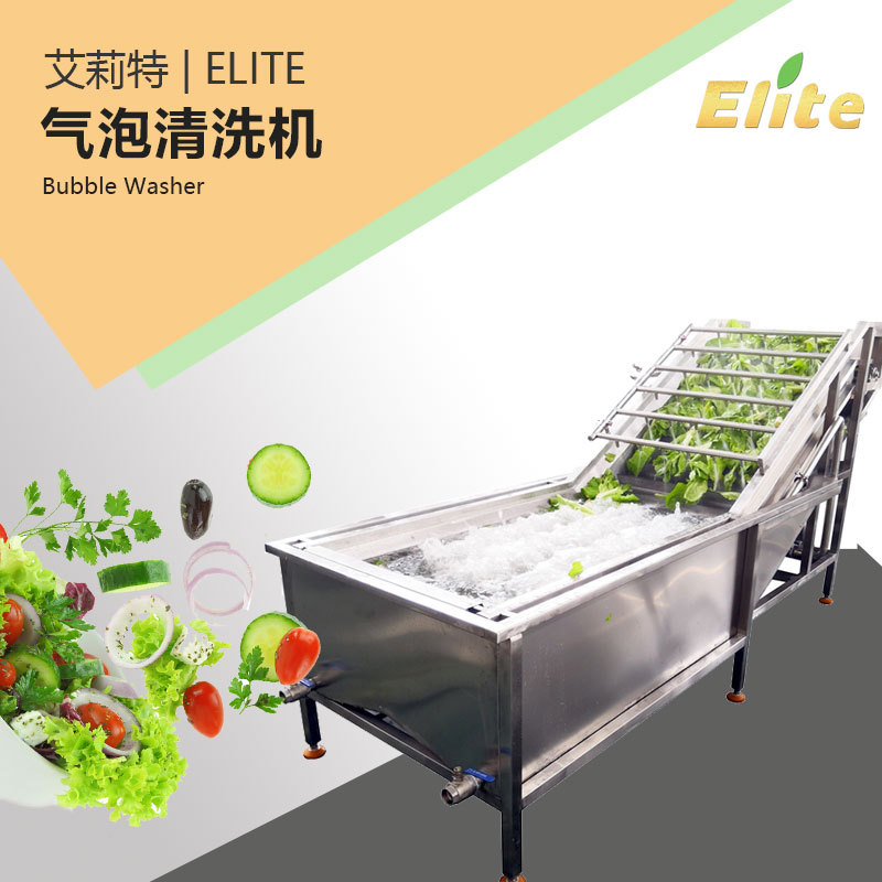 量大从优 气泡清洗机  不锈钢清洗机 气泡冲浪式选果机