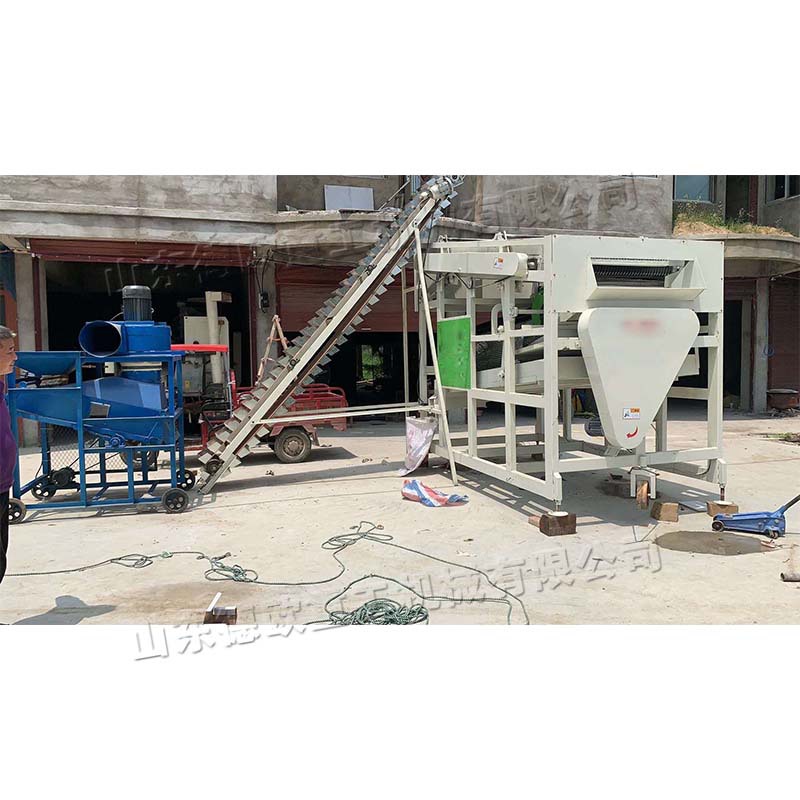 花生去尾巴筛选机 长果桔梗叶子吹选机 双级滚筒去巴筛分机