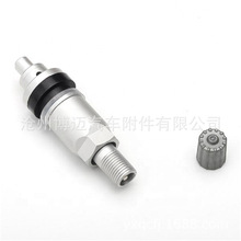 TPMS 胎压监测 适用于别克 比亚迪 市场加装 铝合金传感器气门嘴