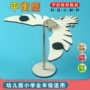 心力实验科技科学平衡鸟