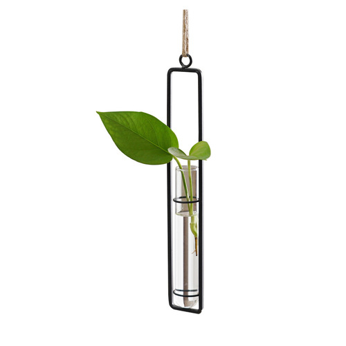 北欧装饰水培玻璃容器花瓶客厅创意吊门饰壁绿萝植物水养透明花盆