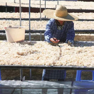 2025�°���ľ�����ږ|����ľ�����lһ�����l؛Դ�����^��Դ�^�ľ