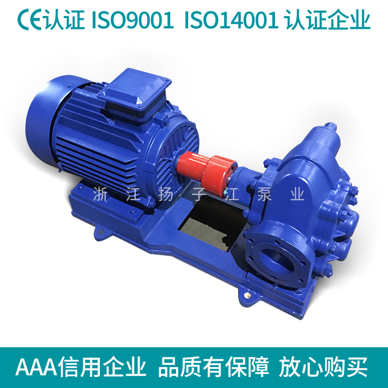 供应2CY系列齿轮油泵 润滑油泵 KCB燃油泵 厂家直销