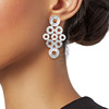 Fashionable accessory, metal earrings, European style, 1 pair