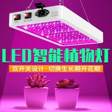 LEDֲȫ׷ˮֲ2000Wֲƴ1000W IP65