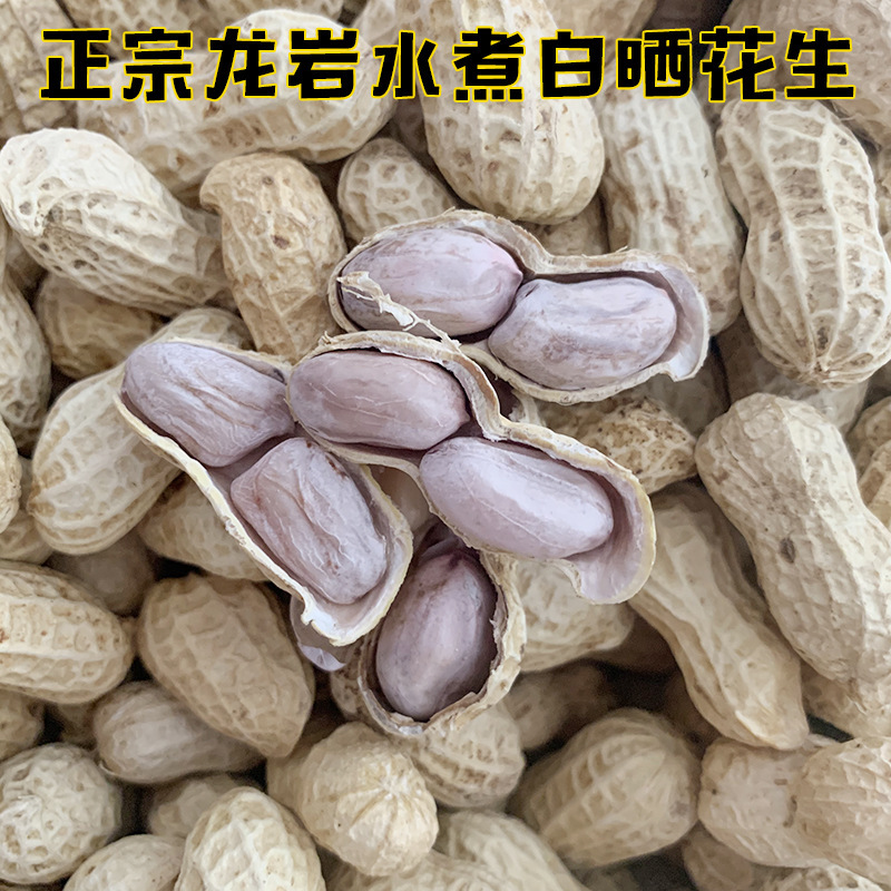 Fujian Longyan Peanuts Boiled White Sun-Dried Salted Dried Peanuts Purple Wet Roasted Red Specialty Garlic Peanuts Four Red Fujian Longyan Peanuts Boiled White Sun-Dried Salted Dried Peanuts Purple Wet Roasted Red Specialty Garlic Peanuts Four Red