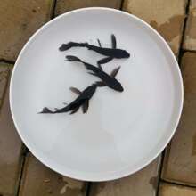 ��ɫ�\���~�^�p�~���^�~��������~�ͺ���ؔ�Lˮ�լ���~�ͺ��~�N