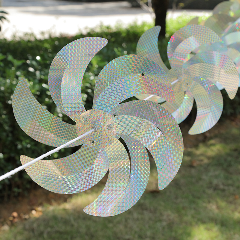 꽃 지름 30cm10 미터 8