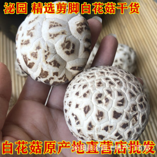 ������؛500g���l�a�ذl؛�㹽��؛Ģ�����_������С������؛