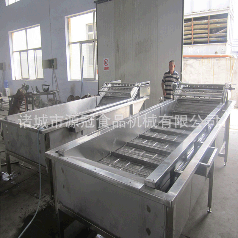 厂家供应水果气泡清洗机蔬菜水产品气泡清洗设备海产品脱盐清洗机