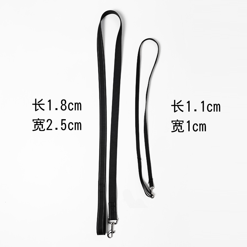 Hundezubehör für kleine und mittelgroße Hunde: Halsband und Leine für Spaziergänge im Freien_voghion.com