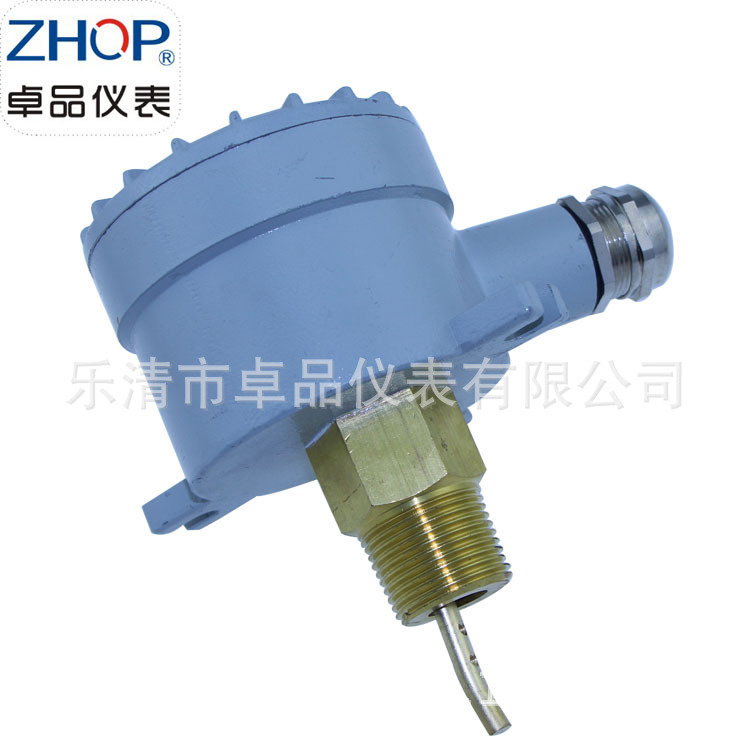 铝合金接线盒水流开关/BZFS-25/插入式流量开关/尺寸大小齐全