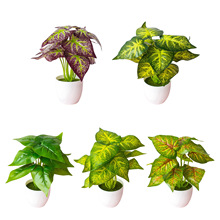 �ٻ��Gֲ���Բ廨�~�Ӡ����bG�~ֲ��Gֲ����ķ���G�}