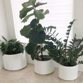 室内外景观花盆北欧风圆形玻璃钢花钵商场酒店组合落地式盆栽花槽