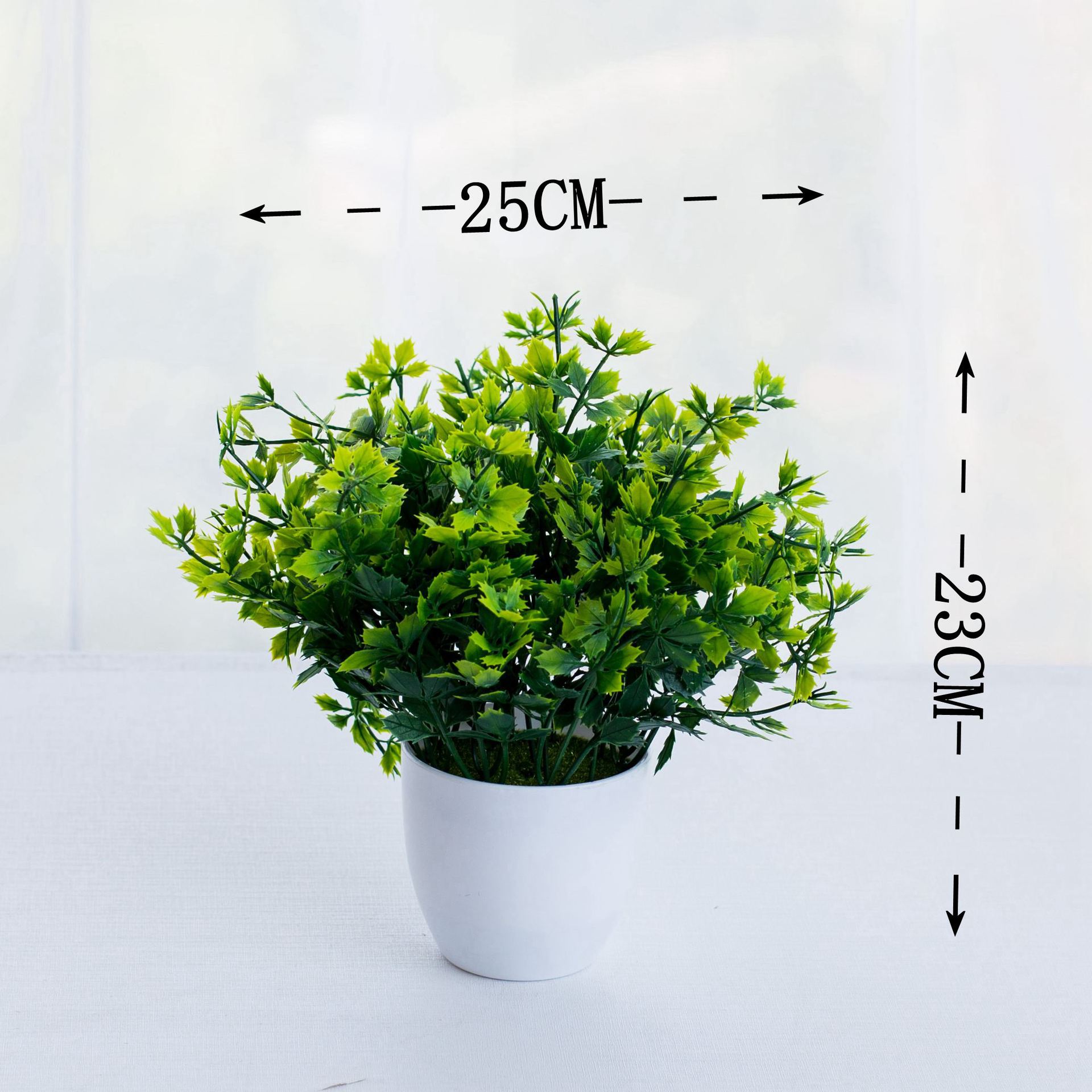 Cây đèn lồng (có chậu)