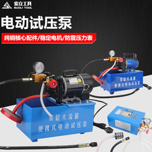 手提式电动试压泵 DSY-60/25/100管道测压高效压力泵测压泵全铜头