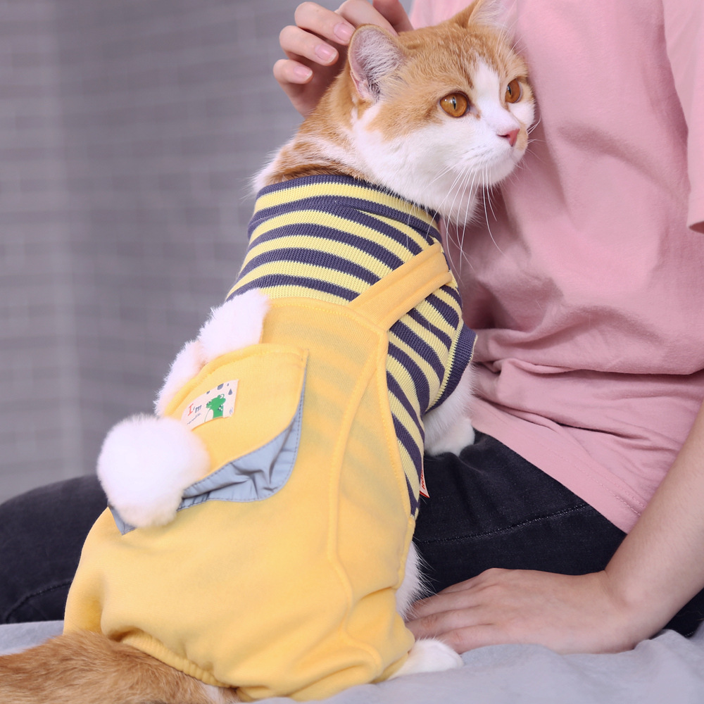 Ropa para Gatitos, Marca Moderna de Cuatro Patas para Gatitos, Anti-Perdida de Pelo, Ropa Cálida de Invierno para Gatos y Mascotas, Ropa Divertida para Otoño e Invierno.