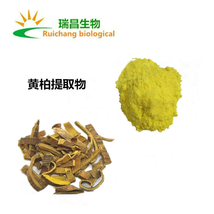 黄柏提取物10:1 黄柏粉 全水溶 小檗碱 黄柏浸膏粉 现货 含运