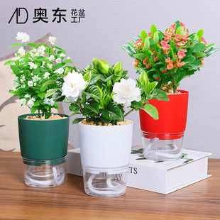 Transparent Plastic Flower Pot Creative Double Layer Water Storage Lazy Automatic Absorbent Green Pot Flower Pot Round Large Wholesale