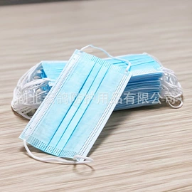 一次性口罩;一次性日用口罩;其他身体防护