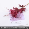 Single -headed flowers red