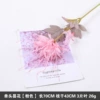 Single -headed flower pink