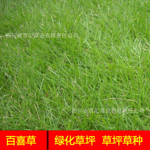 ��ϲ�����l�ݷN�����ɶ��o�°�ϲ�ݵ�·߅���N�Ӹ�ϵ�l�_߅�²ݷN