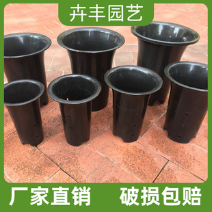 �m���������Ϻ�ɫī�m����Ӻ���m����������ȿ�͸�����ϻ���
