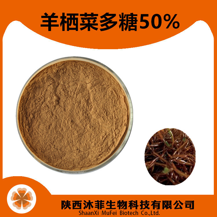 羊栖菜多糖 50% 羊栖菜提取物 浸膏粉 羊栖菜速溶粉浓缩粉 提取粉