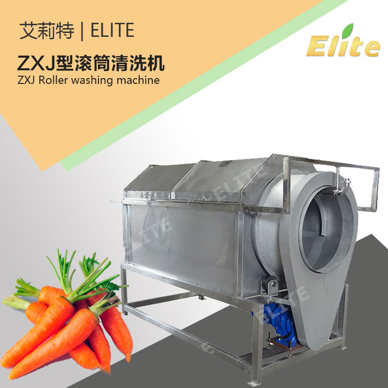 多功能清洗机 毛刷清洗机  土豆清洗机 马铃薯清洗机