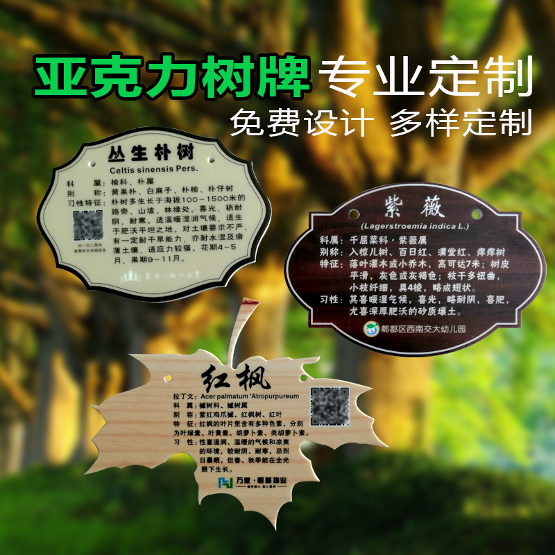 工厂花草牌亚克力树牌植物绿化标识牌树木介绍挂牌金属广告牌制作