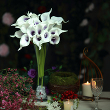 ���滨�R��ɏ����20֧��һ���ҾӲ廨�����[�������bٻ��R��ɏ