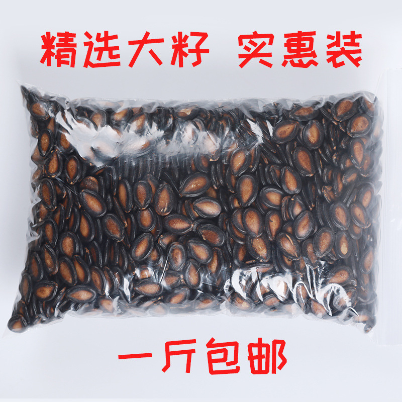 西瓜子话梅味年货黑瓜子大粒西瓜籽五香味小包咸味散装袋炒货5斤