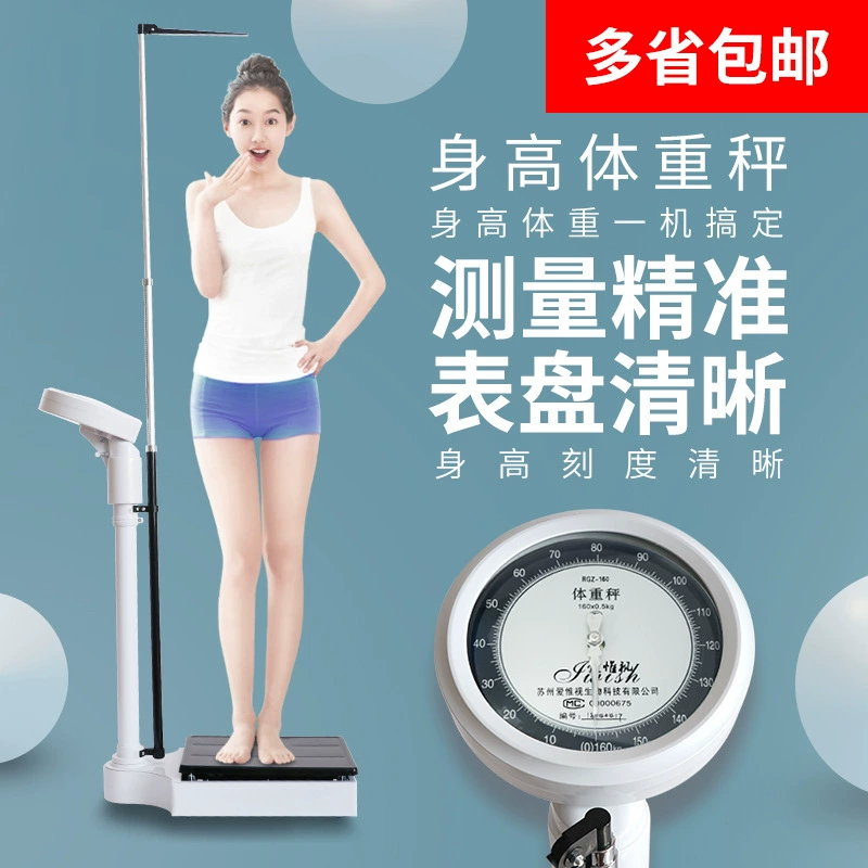 Height Scale Health Scale Human Scale Hospital Scale Physical Examination Mechanical Pharmacy School Children Adult Physical Examination