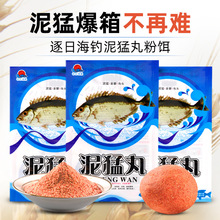 ����~�D����������D���D���D���D���մ��С�~�D�����~�D�����D