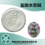 生物盐酸益母草提取物