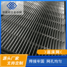 【厂家批发】镀锌苗床网 长方孔花卉培植网 温室大棚育苗架铁丝网