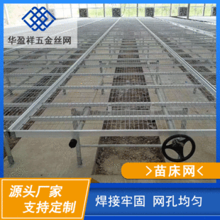 ���l�Ƅ��紲�W���Ҵ����紲���ﳱϫ����W�WƬ�紲���P䓻��ܾW