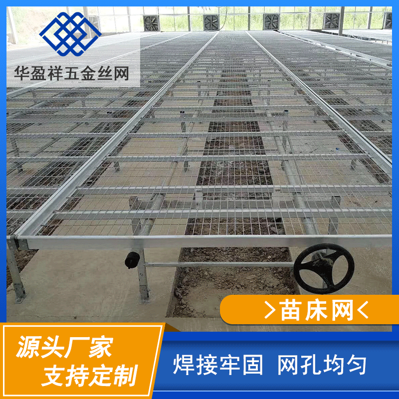 批发移动苗床网温室大棚苗床大棚潮汐育苗网网片苗床不锈钢花架网