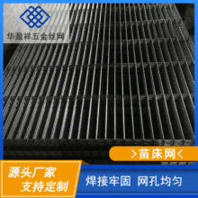 厂家批发铁丝网片镀锌碰焊网片养殖苗床网货架异形电焊网片苗床网