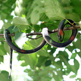 Реалистичная игрушка из мягкой резины, подарок на день рождения