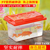 Small table handheld plastic aquarium, transport, pet, wholesale