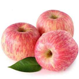 陕西【洛川红富士苹果】脆甜多汁新鲜水果红苹果产地货源整箱批发