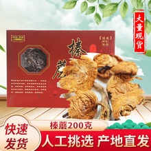 东北特产200克林下榛蘑 鸿运礼品盒装 食用菌年货礼品榛蘑