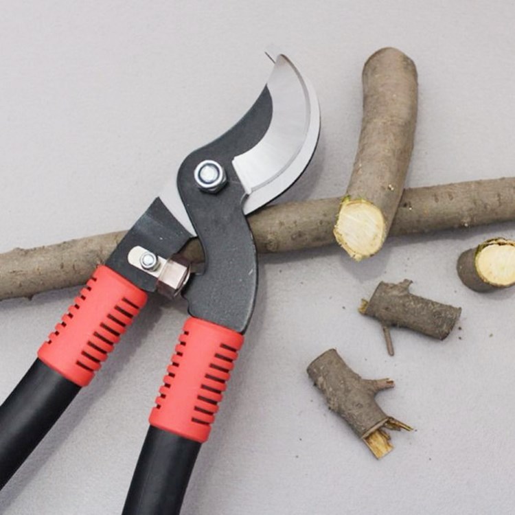 园林剪刀果树剪子大力剪粗枝剪篱笆剪修枝剪刀果枝剪桑剪省力剪子