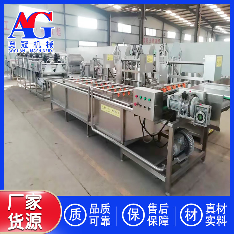 贵州山野菜气泡清洗机内框可以提升洗菜机农业加工项目用清洗设备