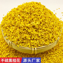 厂家直供散装批发桂花干花干桂花无硫熏桂花茶