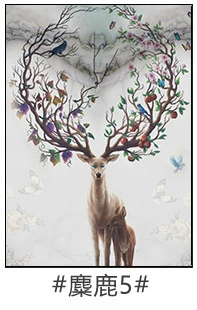 Elk 5