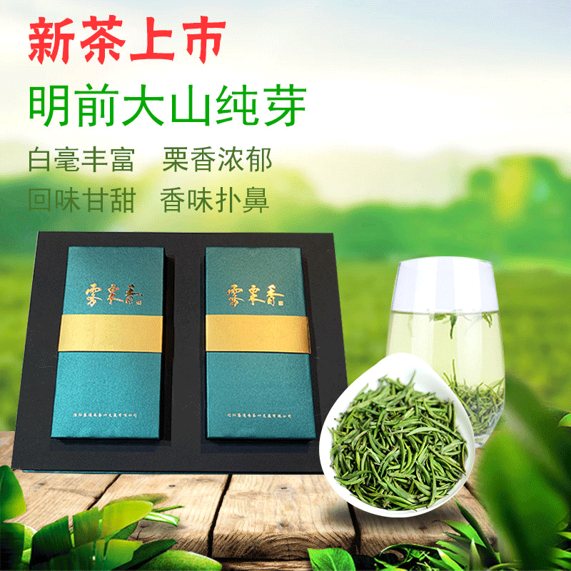 盛德来雾栗香信阳绿茶 茉莉雪芽茶叶 浓香黄山毛尖有机绿茶礼盒装